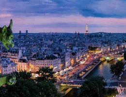 Flights and Tours