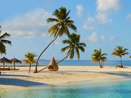 Flights and Tours